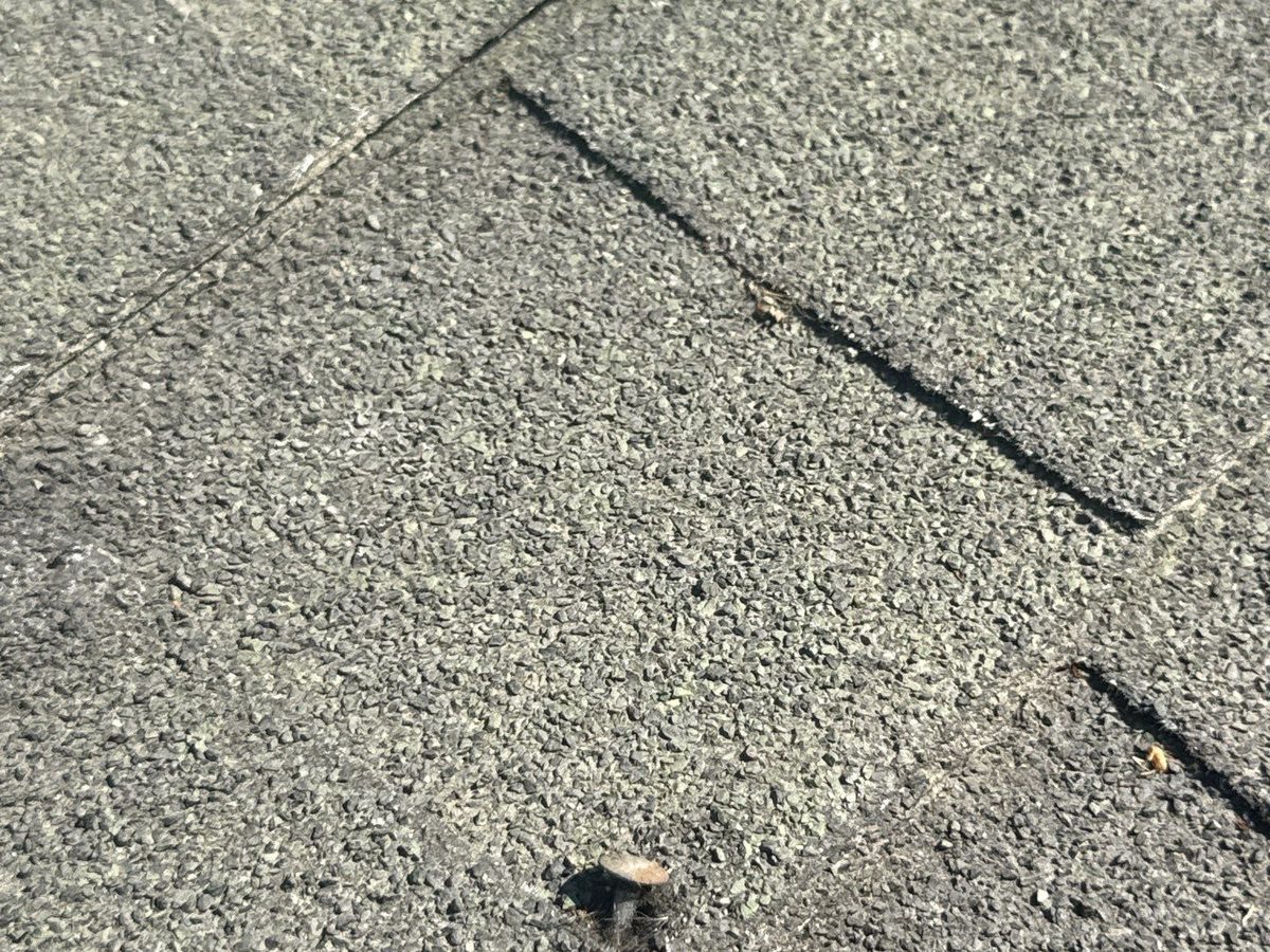 Close-up of a roofing nail that has backed up through a gray asphalt shingle on a Kerman home